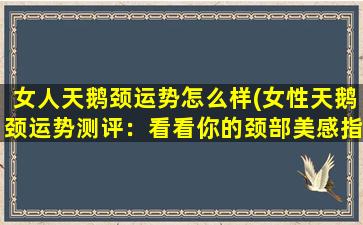 女人天鹅颈运势怎么样(女性天鹅颈运势测评：看看你的颈部美感指数达到了几分？)