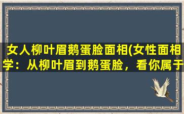 女人柳叶眉鹅蛋脸面相(女性面相学：从柳叶眉到鹅蛋脸，看你属于哪种类型)