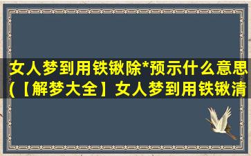 女人梦到用铁锹除*预示什么意思(【解梦大全】女人梦到用铁锹清理*，梦境预示的含义是什么？)