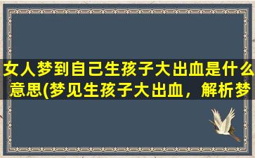 女人梦到自己生孩子大出血是什么意思(梦见生孩子大出血，解析梦境的真正含义)