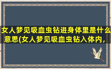 女人梦见吸血虫钻进身体里是什么意思(女人梦见吸血虫钻入体内，到底象征着什么？)