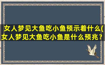 女人梦见大鱼吃小鱼预示着什么(女人梦见大鱼吃小鱼是什么预兆？做梦解析告诉你！)