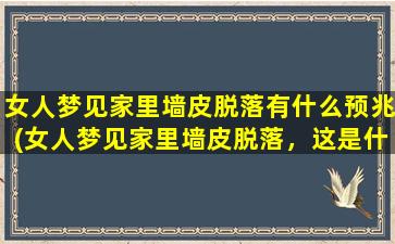 女人梦见家里墙皮脱落有什么预兆(女人梦见家里墙皮脱落，这是什么预兆？)