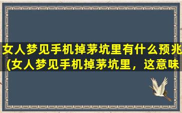 女人梦见手机掉茅坑里有什么预兆(女人梦见手机掉茅坑里，这意味着什么？)