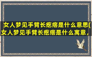 女人梦见手臂长疙瘩是什么意思(女人梦见手臂长疙瘩是什么寓意，做梦解析！)