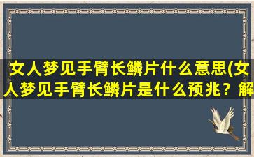 女人梦见手臂长鳞片什么意思(女人梦见手臂长鳞片是什么预兆？解密女性梦境中的神秘符号)