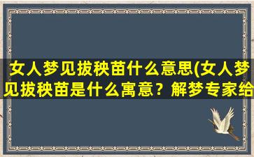 女人梦见拔秧苗什么意思(女人梦见拔秧苗是什么寓意？解梦专家给出解答！)