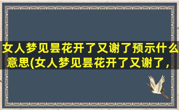 女人梦见昙花开了又谢了预示什么意思(女人梦见昙花开了又谢了，预示着什么意思？)