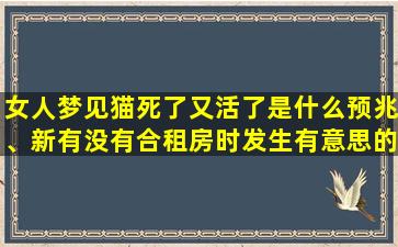 女人梦见猫死了又活了是什么预兆、新有没有合租房时发生有意思的事