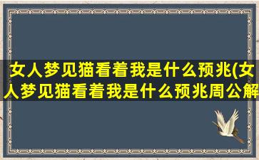 女人梦见猫看着我是什么预兆(女人梦见猫看着我是什么预兆周公解梦)