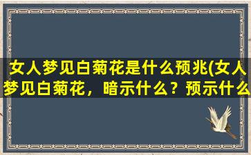 女人梦见白菊花是什么预兆(女人梦见白菊花，暗示什么？预示什么？——解梦大揭秘！)