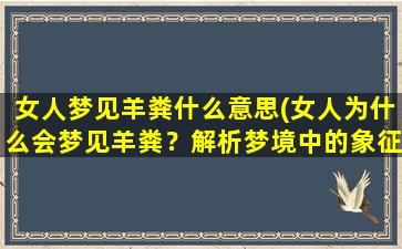 女人梦见羊粪什么意思(女人为什么会梦见羊粪？解析梦境中的象征意义)