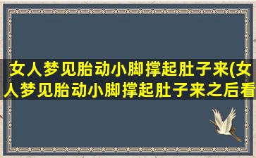 女人梦见胎动小脚撑起肚子来(女人梦见胎动小脚撑起肚子来之后看见个小男孩)