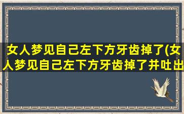 女人梦见自己左下方牙齿掉了(女人梦见自己左下方牙齿掉了并吐出来碎碎的)