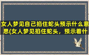 女人梦见自己掐住蛇头预示什么意思(女人梦见掐住蛇头，预示着什么？)