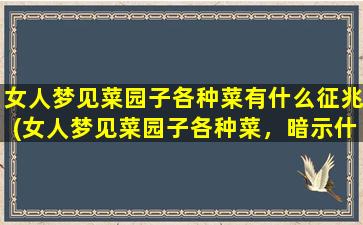 女人梦见菜园子各种菜有什么征兆(女人梦见菜园子各种菜，暗示什么？分享女性梦境解析)