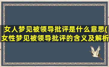 女人梦见被领导批评是什么意思(女性梦见被领导批评的含义及解析)