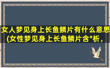 女人梦见身上长鱼鳞片有什么意思(女性梦见身上长鱼鳞片含*析，梦境预示的含义大揭秘)