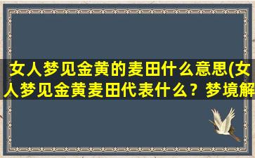 女人梦见金黄的麦田什么意思(女人梦见金黄麦田代表什么？梦境解析分享)