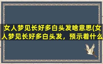 女人梦见长好多白头发啥意思(女人梦见长好多白头发，预示着什么？)