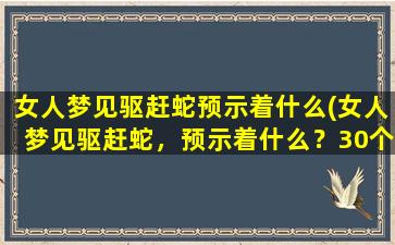 女人梦见驱赶蛇预示着什么(女人梦见驱赶蛇，预示着什么？30个汉字解析梦境预兆！)