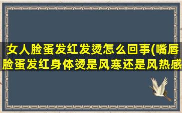 女人脸蛋发红发烫怎么回事(嘴唇脸蛋发红身体烫是风寒还是风热感冒)