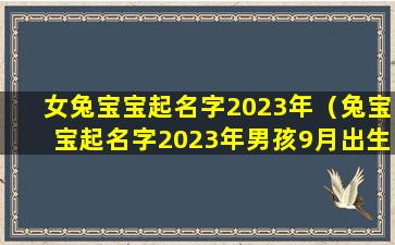 女兔宝宝起名字2023年（兔宝宝起名字2023年男孩9月出生）