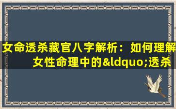 女命透杀藏官八字解析：如何理解女性命理中的“透杀藏官”现象