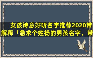 女孩诗意好听名字推荐2020带解释「急求个姓杨的男孩名字，带金字旁，带水字的好听名字」