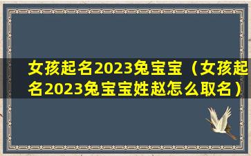 女孩起名2023兔宝宝（女孩起名2023兔宝宝姓赵怎么取名）