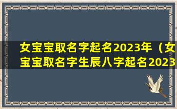 女宝宝取名字起名2023年（女宝宝取名字生辰八字起名2023年）