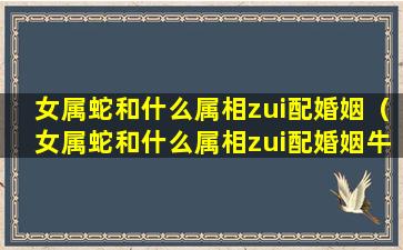 女属蛇和什么属相zui配婚姻（女属蛇和什么属相zui配婚姻牛虎）