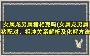 女属龙男属猪相克吗(女属龙男属猪配对，相冲关系解析及化解方法)