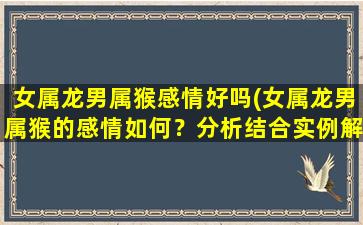 女属龙男属猴感情好吗(女属龙男属猴的感情如何？分析结合实例解释！)