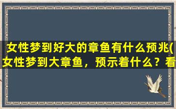 女性梦到好大的章鱼有什么预兆(女性梦到大章鱼，预示着什么？看解析！)