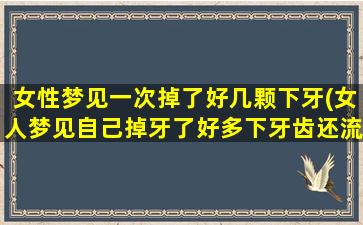 女性梦见一次掉了好几颗下牙(女人梦见自己掉牙了好多下牙齿还流血)