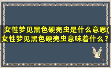 女性梦见黑色硬壳虫是什么意思(女性梦见黑色硬壳虫意味着什么？解析梦境象征及心理暗示)