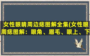 女性眼睛周边痣图解全集(女性眼周痣图解：眼角、眉毛、眼上、下眼睑、泪线颜色、大小、位置含*析)