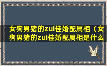 女狗男猪的zui佳婚配属相（女狗男猪的zui佳婚配属相是什么）