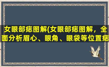 女眼部痣图解(女眼部痣图解，全面分析眉心、眼角、眼袋等位置痣相学含义)