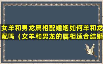 女羊和男龙属相配婚姻如何羊和龙配吗（女羊和男龙的属相适合结婚吗）