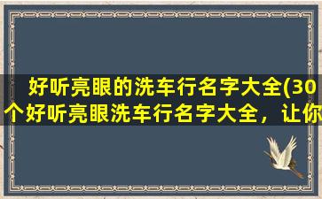 好听亮眼的洗车行名字大全(30个好听亮眼洗车行名字大全，让你的生意蒸蒸日上)