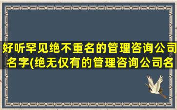 好听罕见绝不重名的管理咨询公司名字(绝无仅有的管理咨询公司名字，助您开创业务新天地)