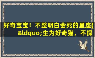 好奇宝宝！不整明白会死的星座(“生为好奇猫，不探究死不瞑目——十二星座最好奇的排名揭晓！”)