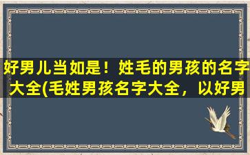 好男儿当如是！姓毛的男孩的名字大全(毛姓男孩名字大全，以好男儿为楷模)