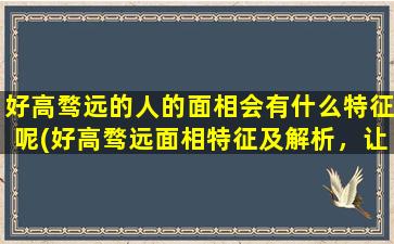 好高骛远的人的面相会有什么特征呢(好高骛远面相特征及解析，让你看懂一个人的野心与未来)