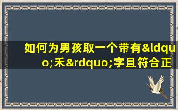 如何为男孩取一个带有“禾”字且符合正宗宝宝八字的名字