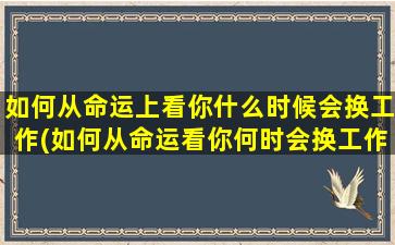 如何从命运上看你什么时候会换工作(如何从命运看你何时会换工作？)