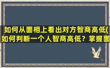 如何从面相上看出对方智商高低(如何判断一个人智商高低？掌握面相学就可以轻松看出！)