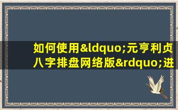 如何使用“元亨利贞八字排盘网络版”进行个人命理分析